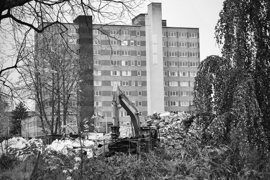 Bayswater House Clearance Case Study Rubbish Transformation